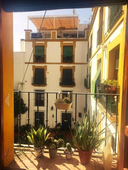 Plaza Cristo De Burgos Appartement Sevilla Buitenkant foto