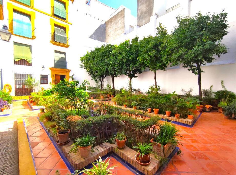 Plaza Cristo De Burgos Appartement Sevilla Buitenkant foto